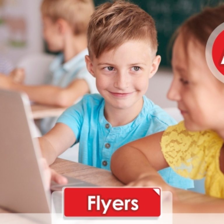 Flyers_Niveles